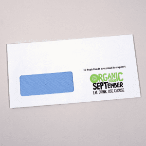 Basic Printed Envelope